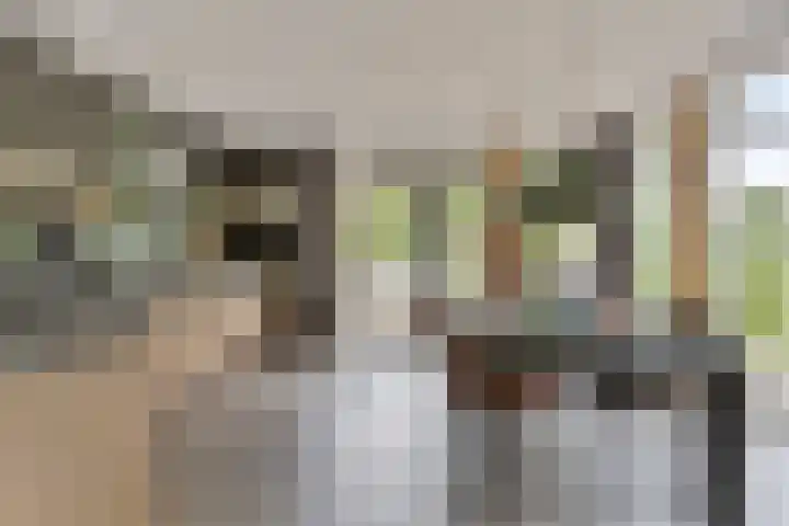Aengwirderweg 389 Tjalleberd thumbnail 8
