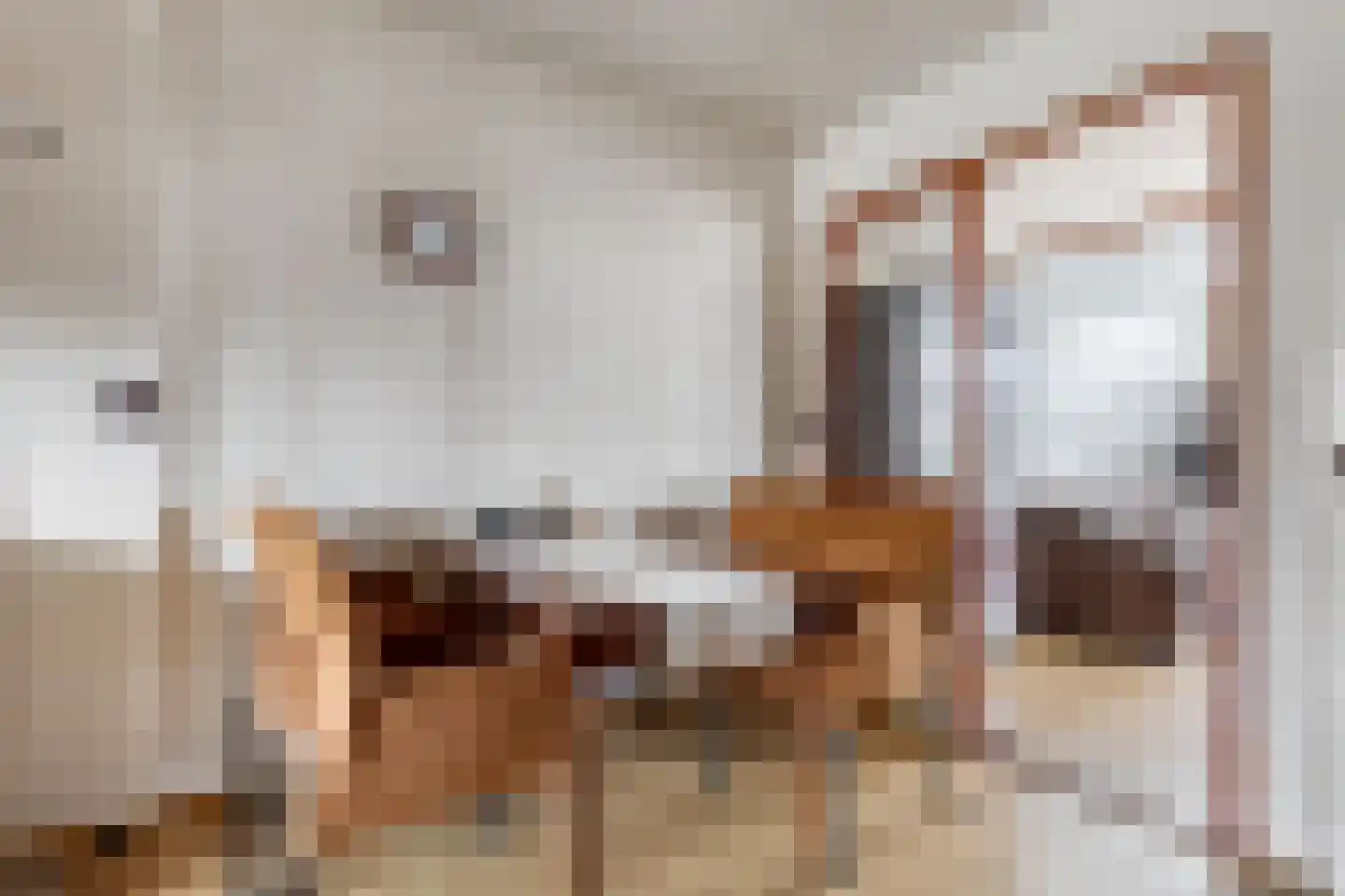Aengwirderweg 45 Terband thumbnail 12