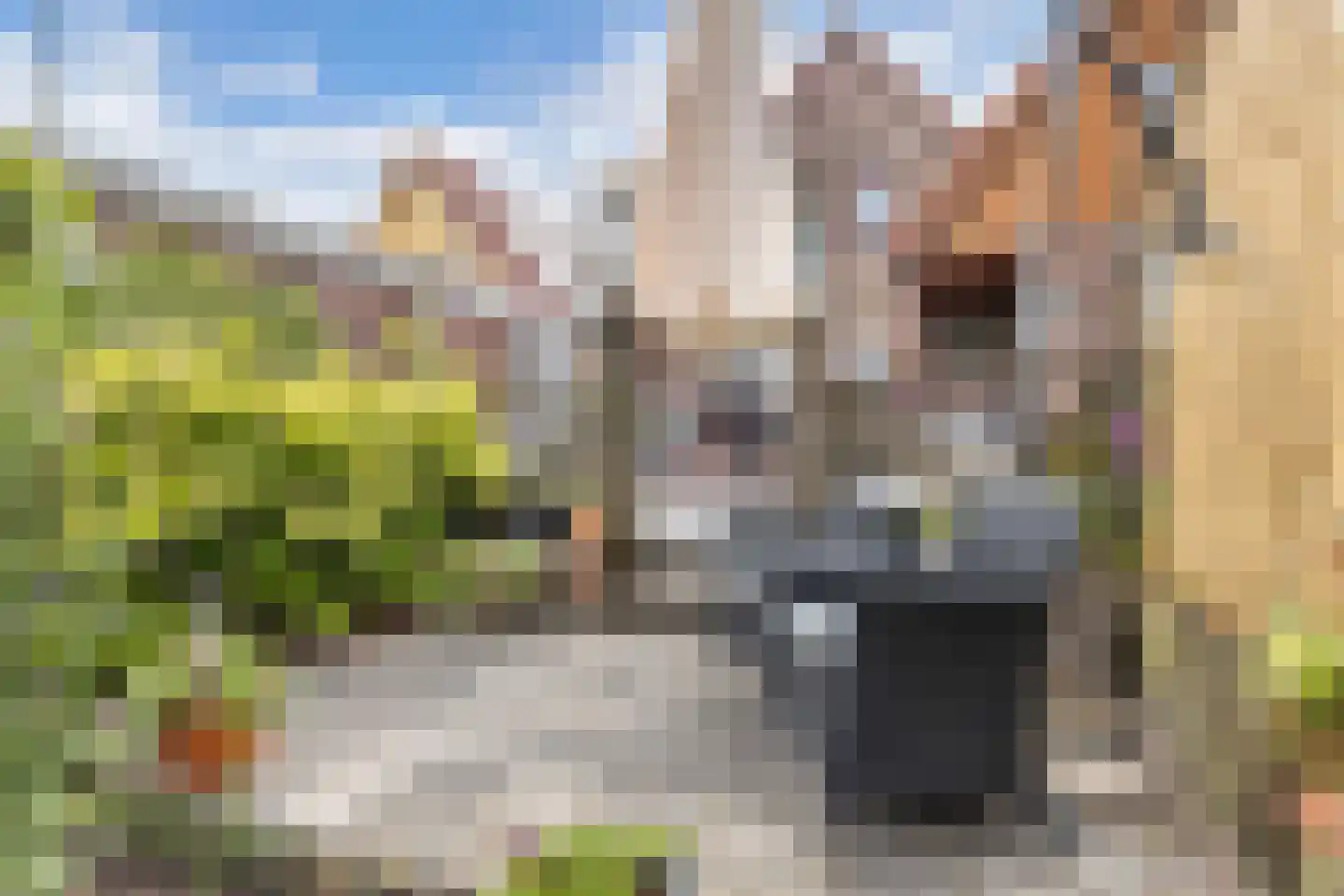 Aengwirderweg 45 Terband thumbnail 40