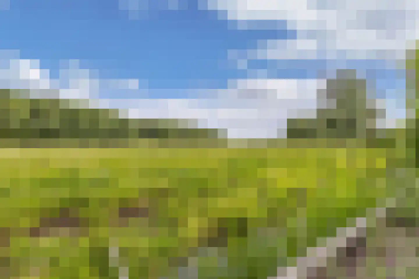 Aengwirderweg 45 Terband thumbnail 41