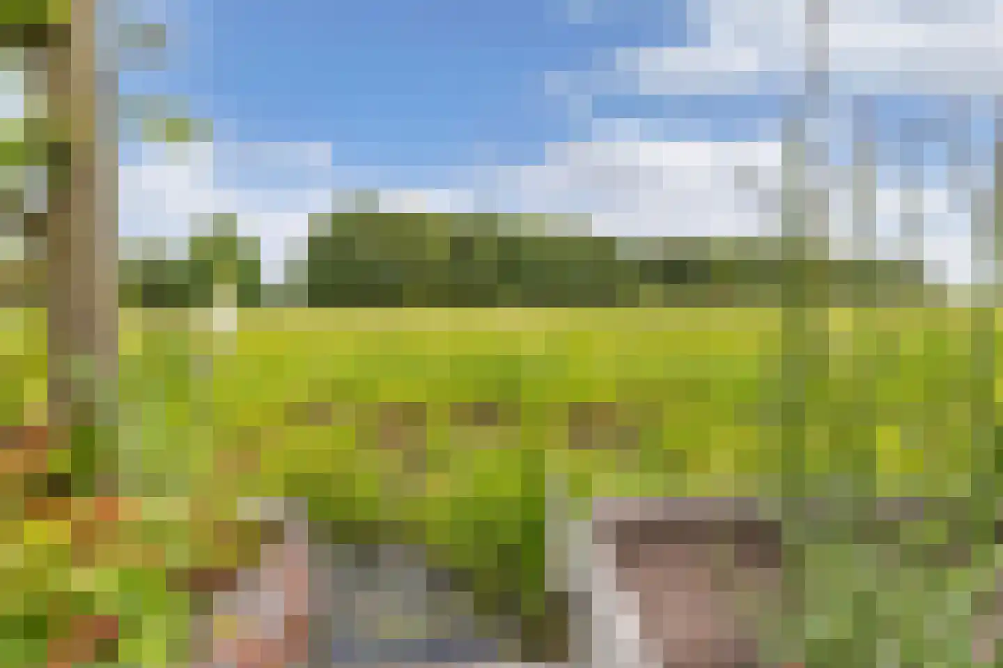 Aengwirderweg 45 Terband thumbnail 42