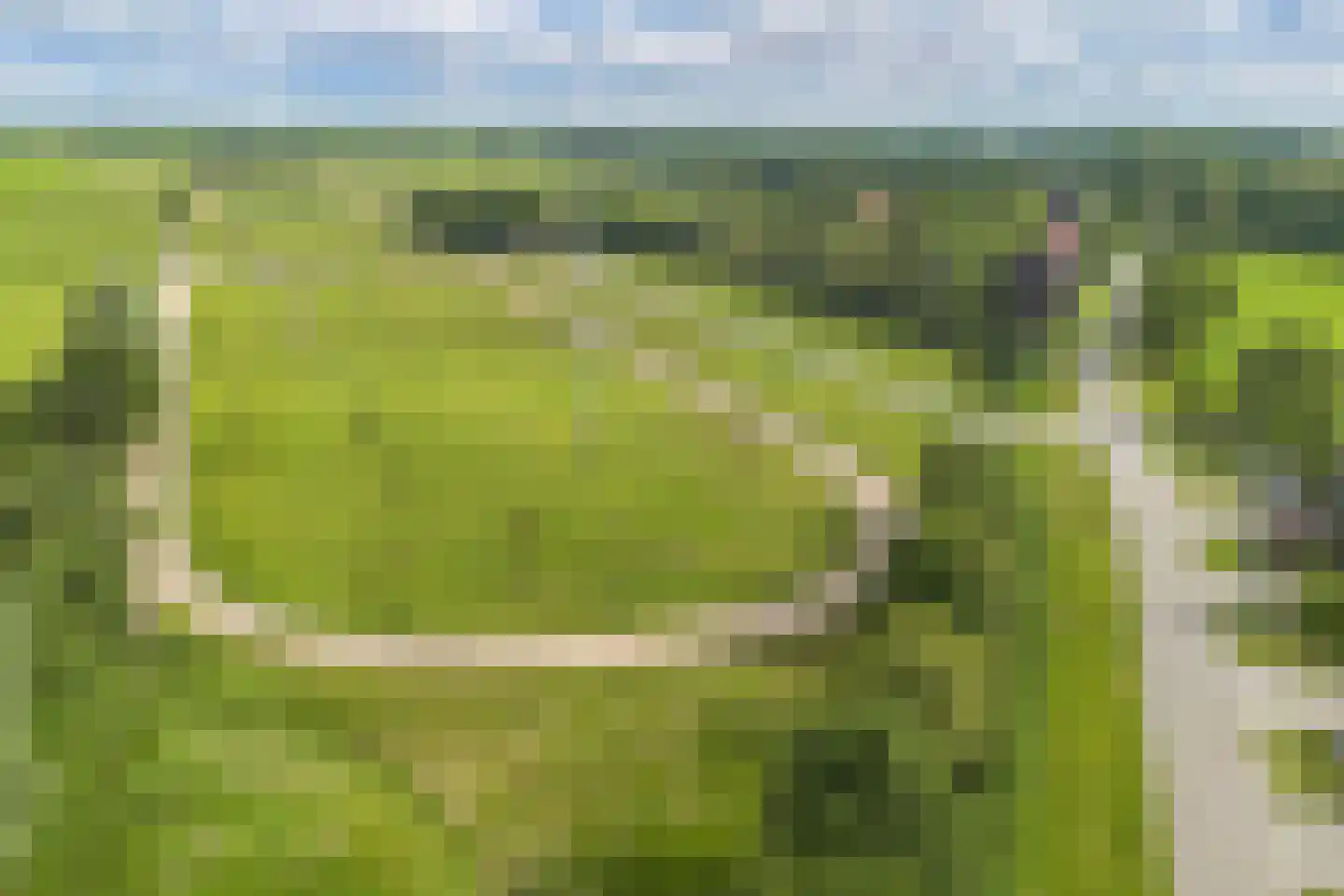Aengwirderweg 45 Terband thumbnail 45