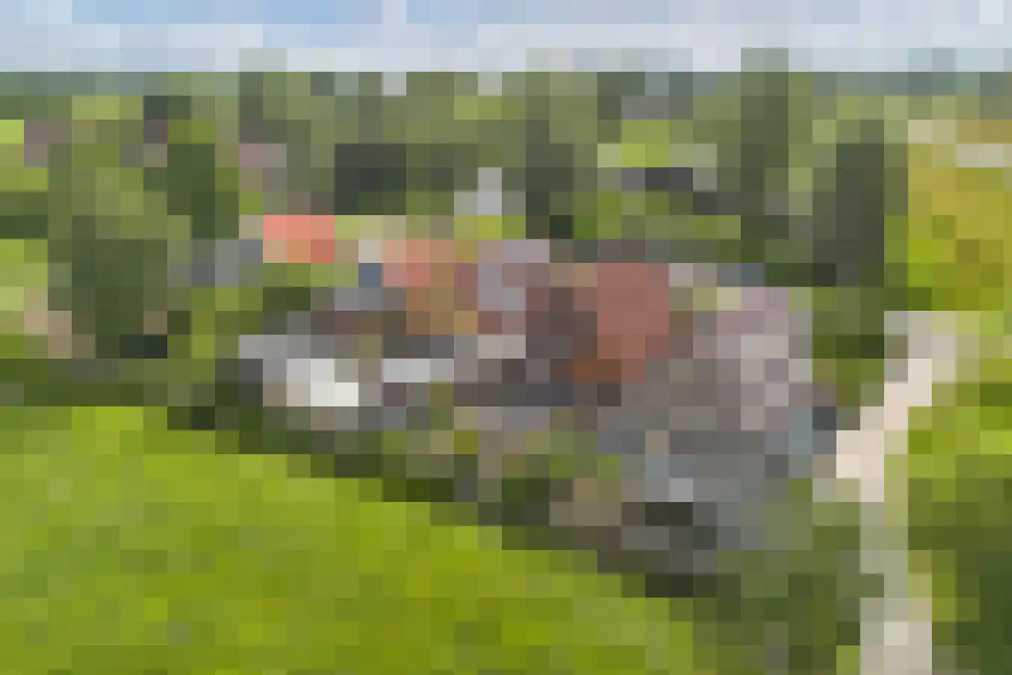 Aengwirderweg 45 Terband thumbnail 47