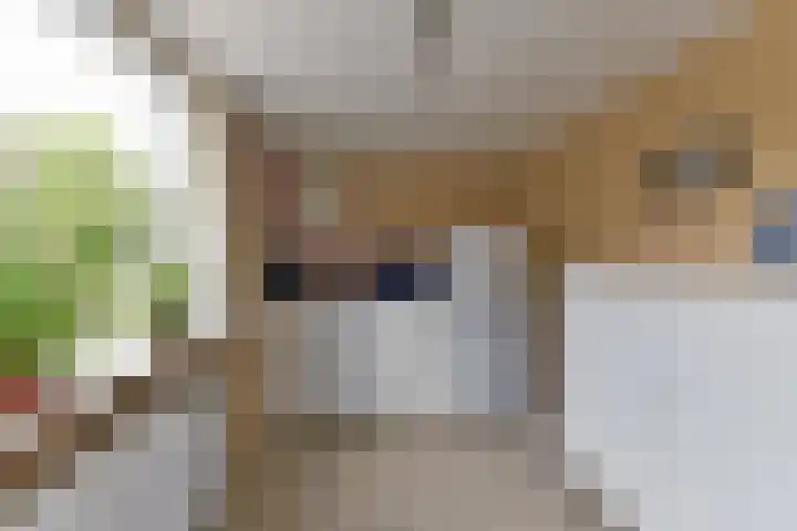 Aeolusweg 137 De Bilt thumbnail 16