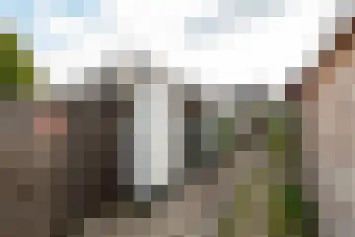 Aeolusweg 137 De Bilt thumbnail 23