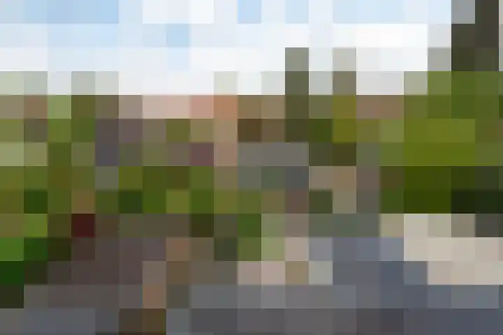 Aeolusweg 137 De Bilt thumbnail 38