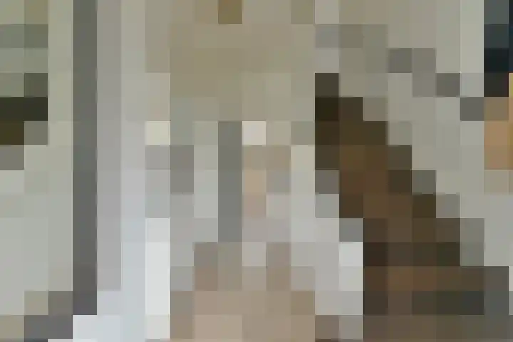 Aeolusweg 137 De Bilt thumbnail 4