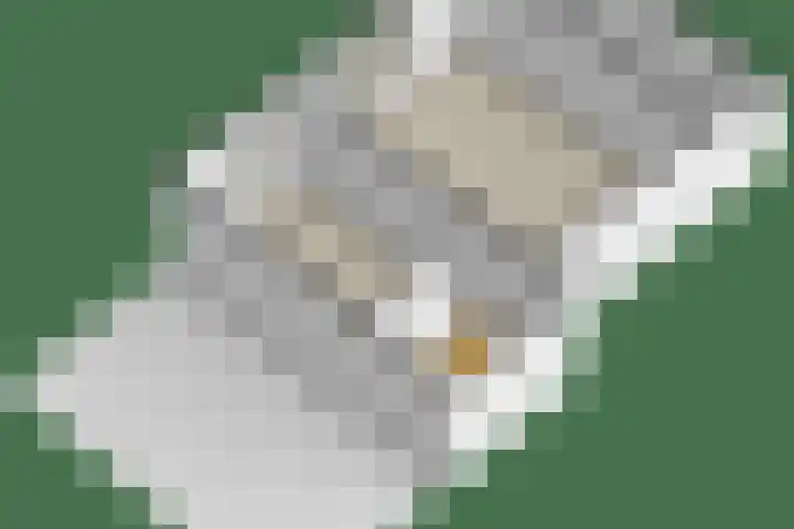 Aeolusweg 137 De Bilt thumbnail 47
