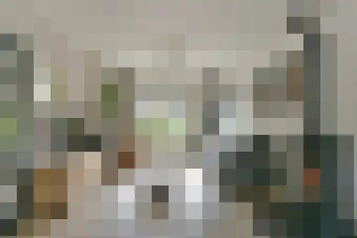 Aeolusweg 137 De Bilt thumbnail 6