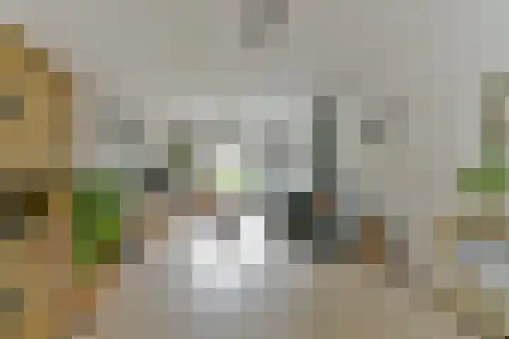 Aeolusweg 137 De Bilt thumbnail 8