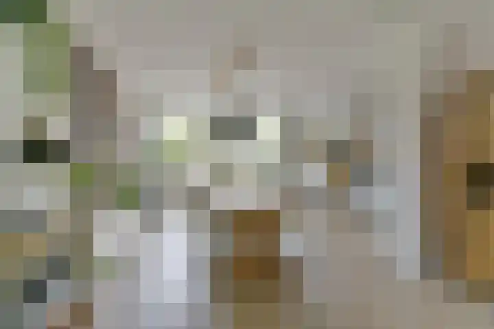 Aeolusweg 137 De Bilt thumbnail 9