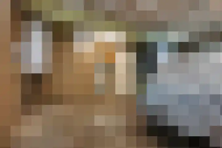 Aeolusweg 34 De Bilt thumbnail 10