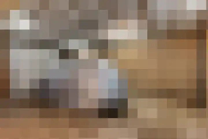 Aeolusweg 34 De Bilt thumbnail 11