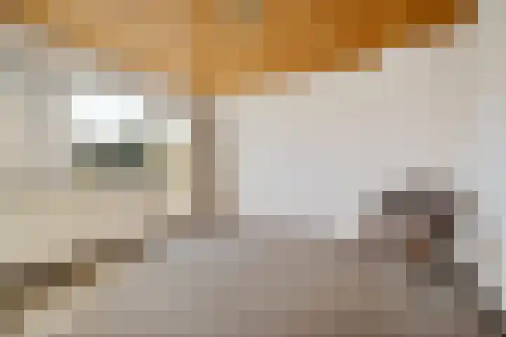 Aeolusweg 34 De Bilt thumbnail 16