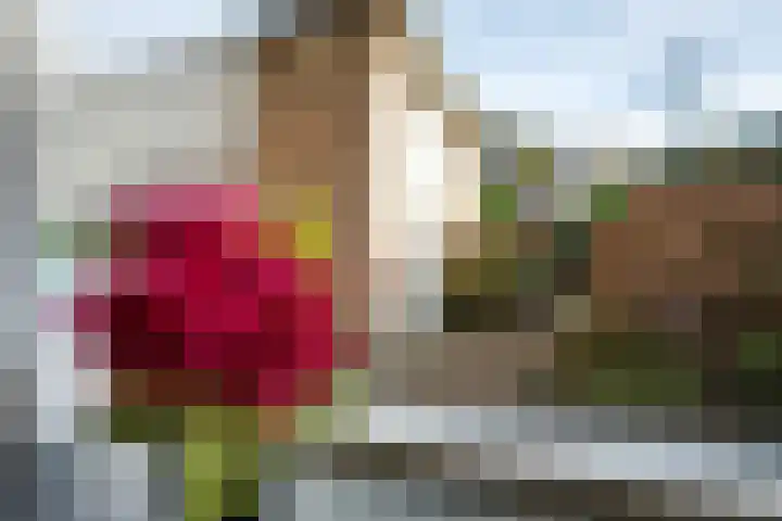 Aeolusweg 34 De Bilt thumbnail 27