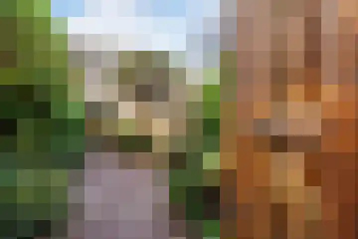 Aeolusweg 34 De Bilt thumbnail 32