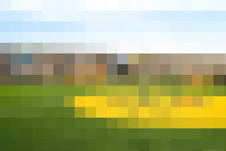 Aeolusweg 34 De Bilt thumbnail 35