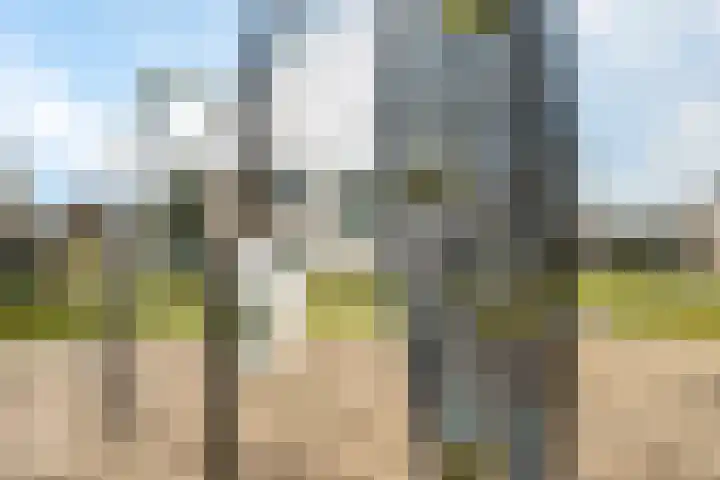 Aeolusweg 34 De Bilt thumbnail 36