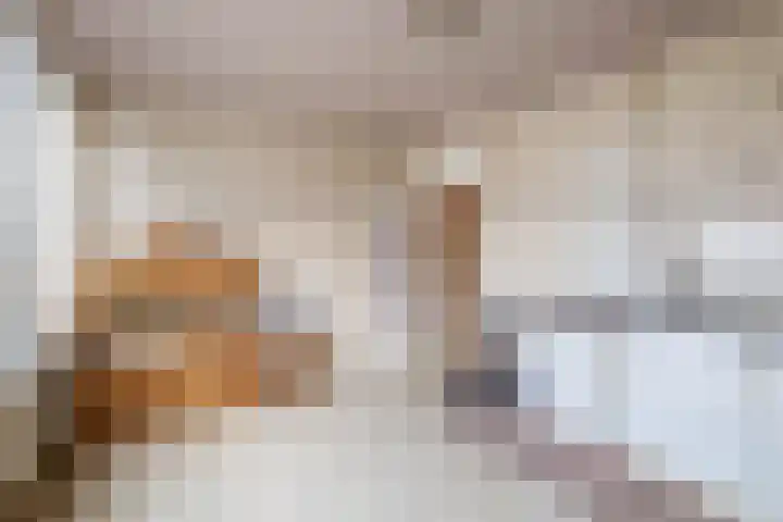 Aerdberg 26 Steyl thumbnail 12