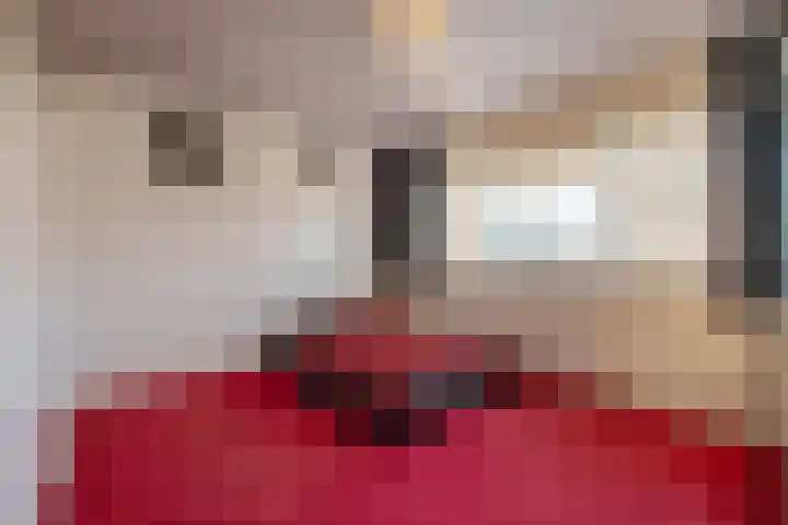 Aerdberg 26 Steyl thumbnail 15