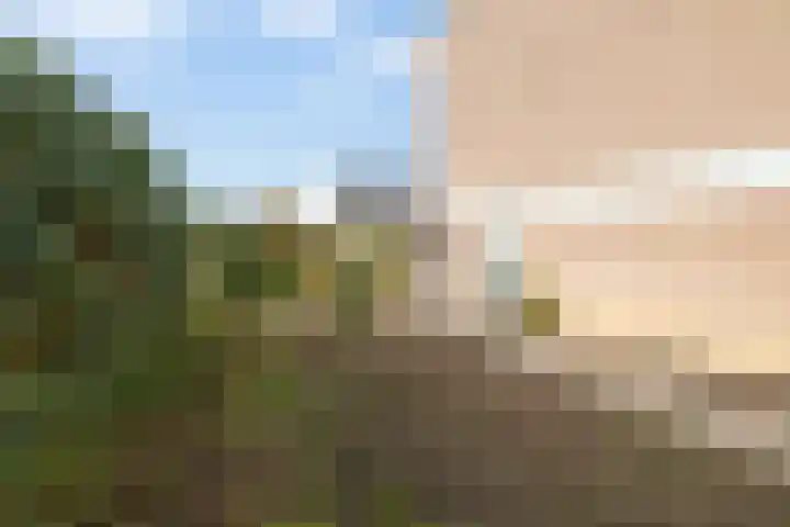 Aerdberg 26 Steyl thumbnail 21