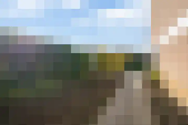 Aerdberg 26 Steyl thumbnail 24