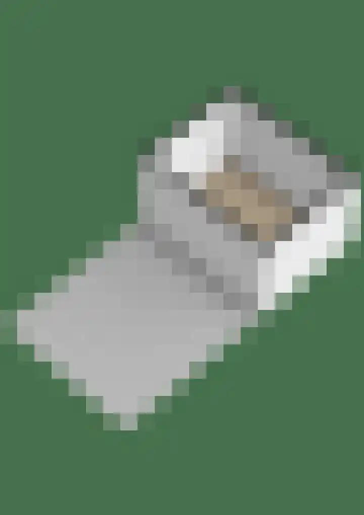 Aerdberg 26 Steyl thumbnail 33