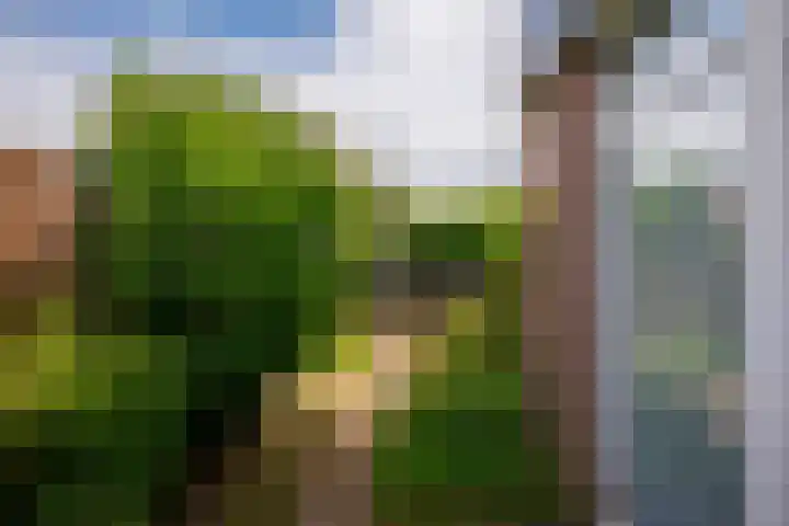 Aerdberg 27 Steyl thumbnail 32