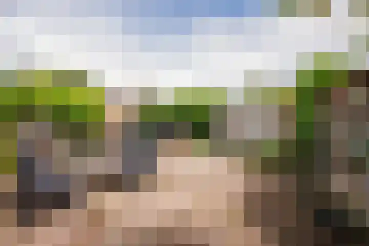 Aerdberg 27 Steyl thumbnail 4