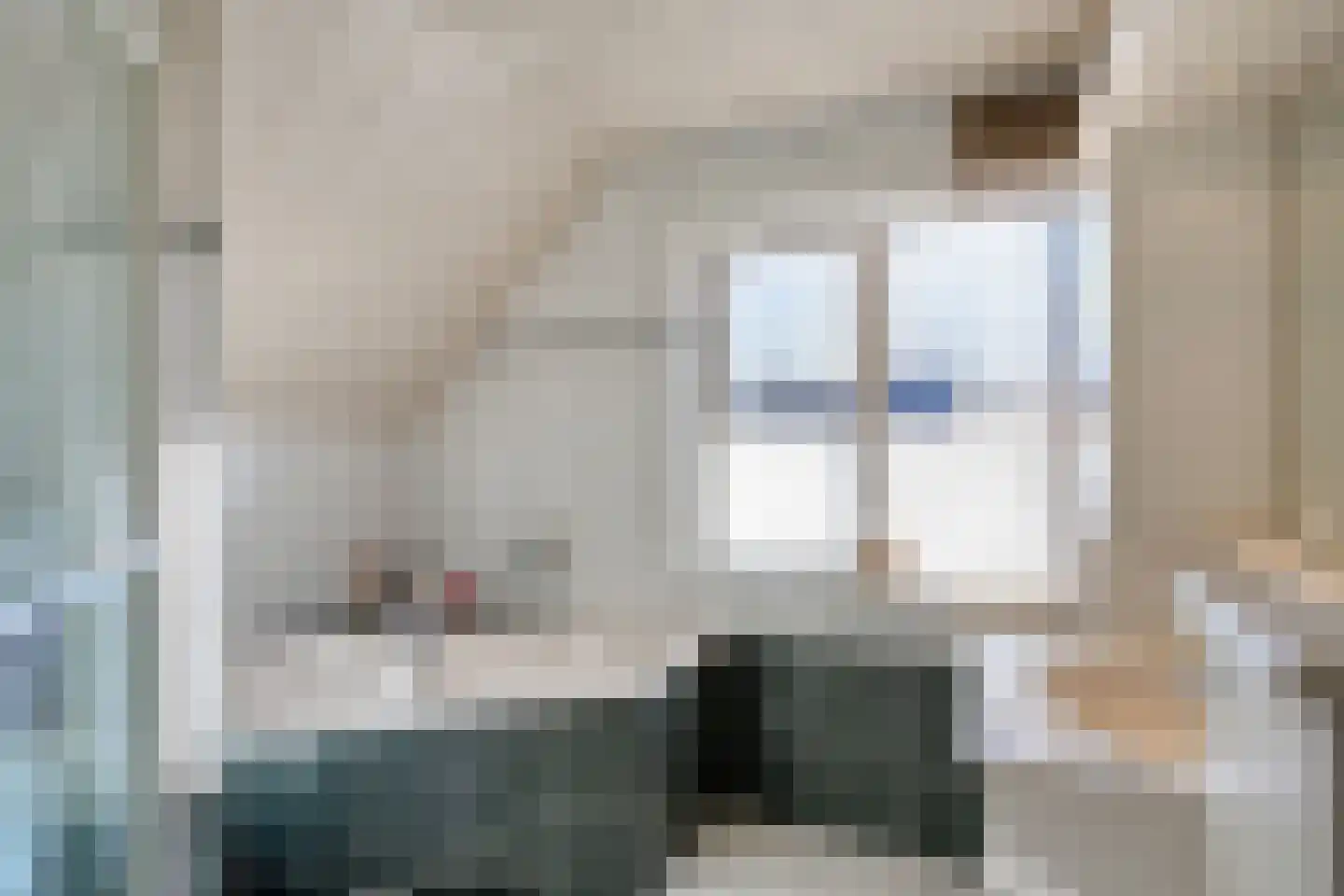 Aerdenburgh 4 Heeswijk-Dinther thumbnail 33