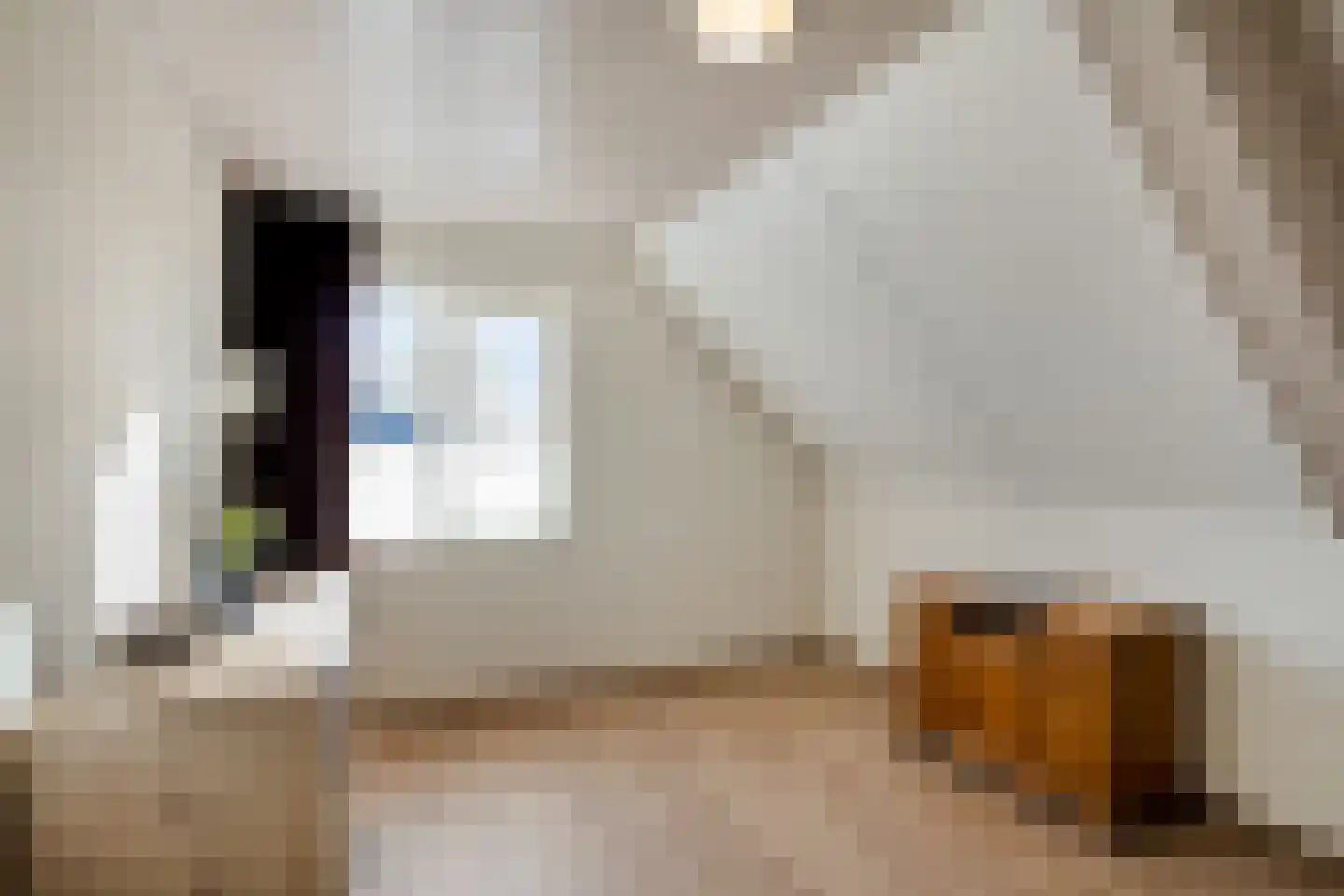 Aerdenburgh 4 Heeswijk-Dinther thumbnail 35