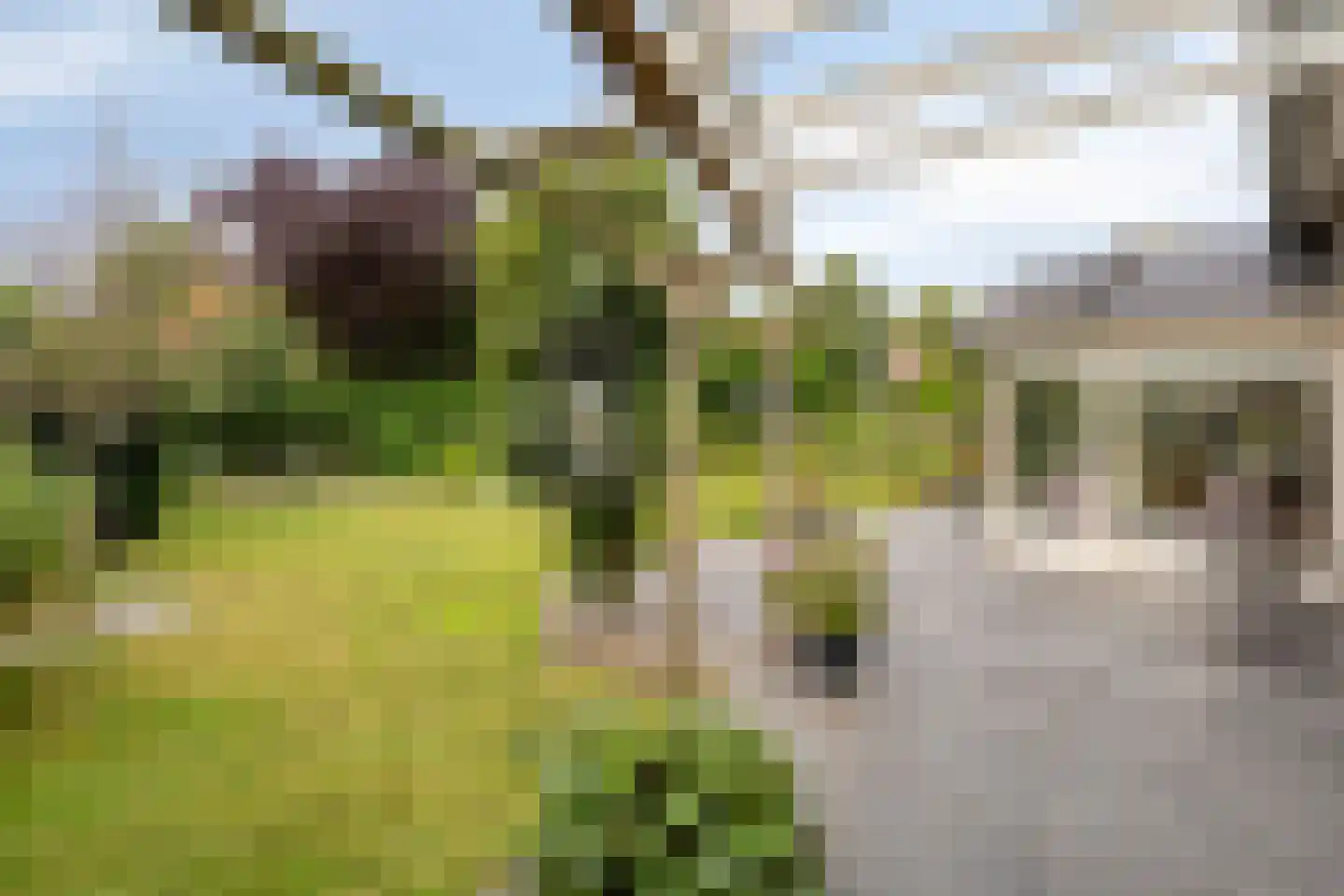 Aerdenburgh 4 Heeswijk-Dinther thumbnail 49