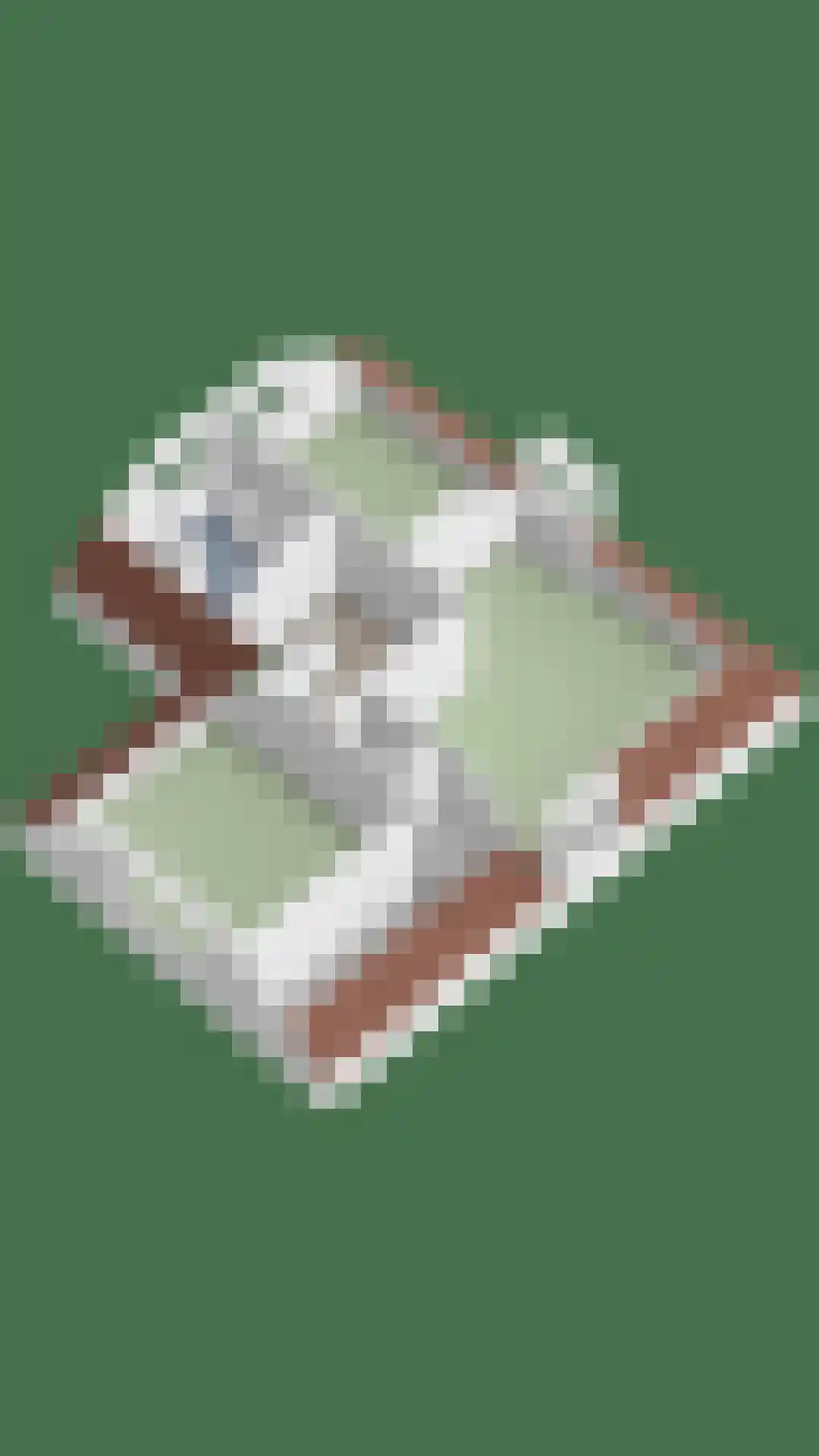 Aerdenburgh 4 Heeswijk-Dinther thumbnail 64