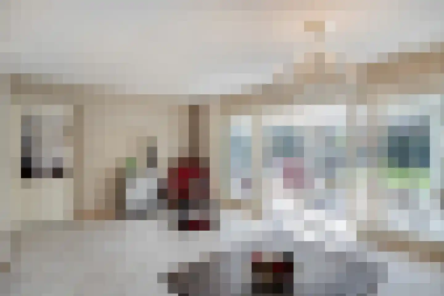 Aerdenburgh 4 Heeswijk-Dinther thumbnail 8