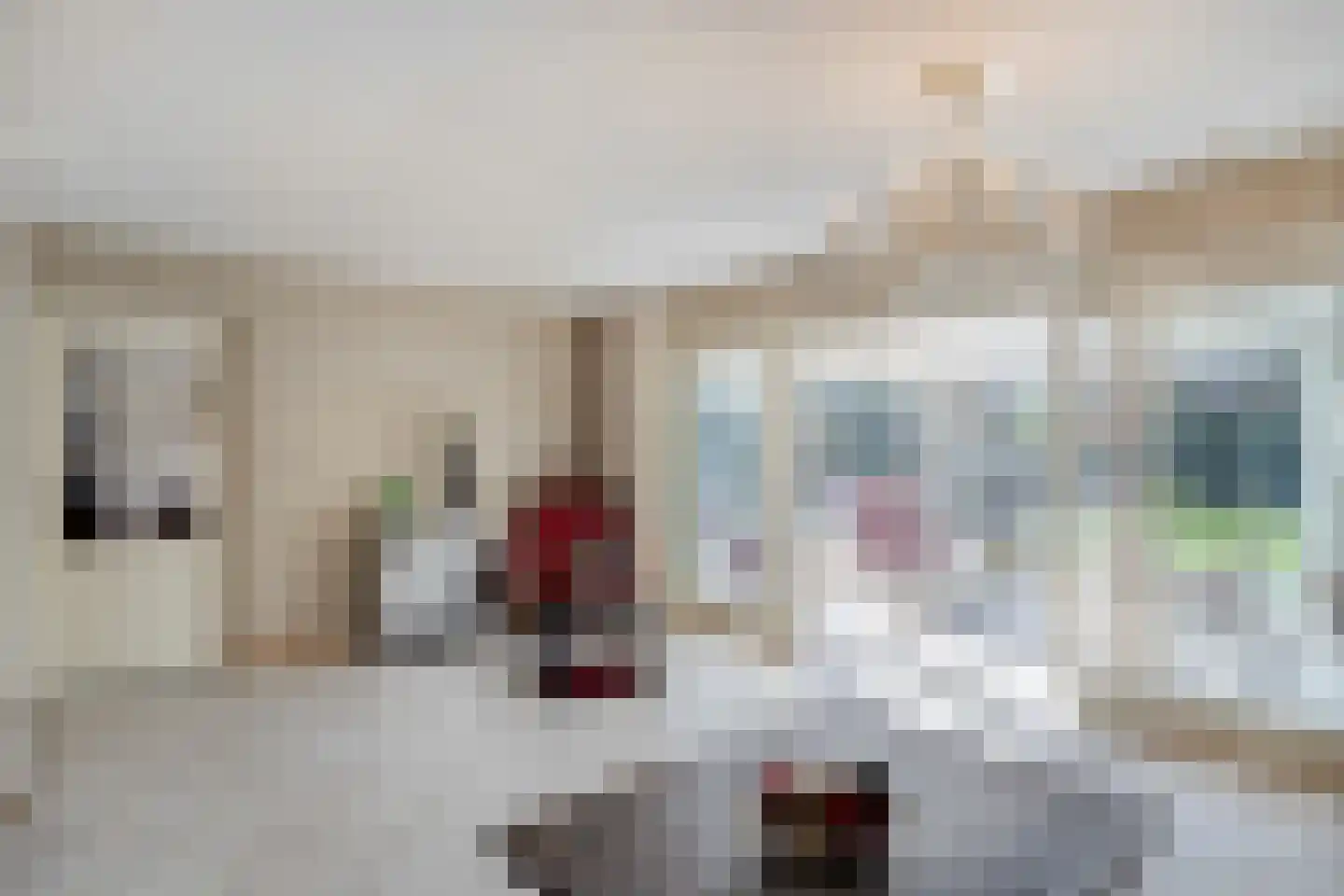 Aerdenburgh 4 Heeswijk-Dinther thumbnail 8