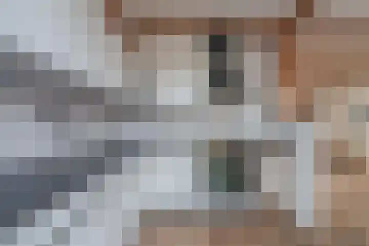 Aerdmennekesbaan 18 Veldhoven thumbnail 13