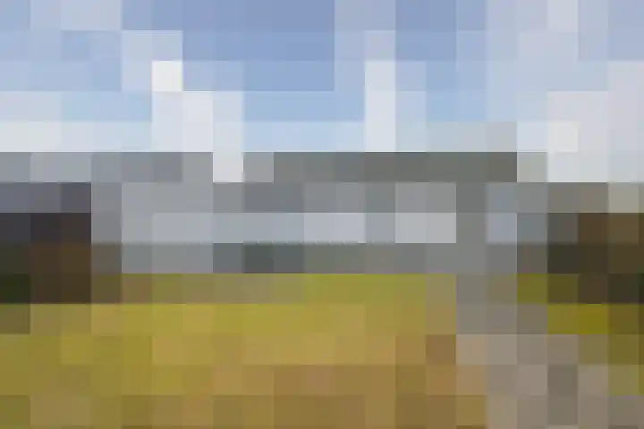 Aerdmennekesbaan 18 Veldhoven thumbnail 21