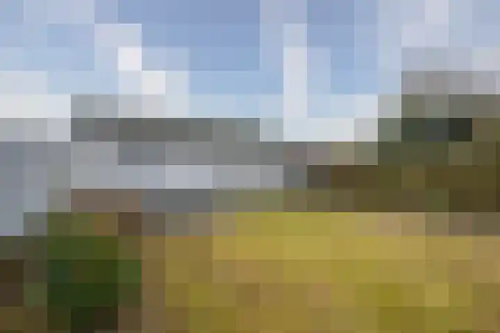 Aerdmennekesbaan 18 Veldhoven thumbnail 24