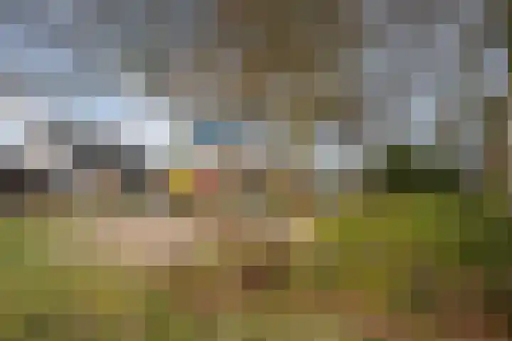 Aerdmennekesbaan 18 Veldhoven thumbnail 31