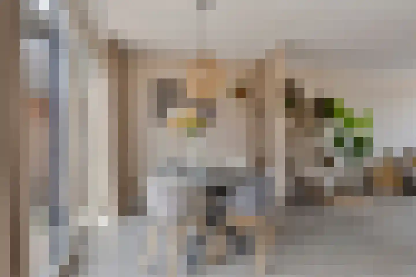 Aerdmennekesbaan 27 Veldhoven thumbnail 12