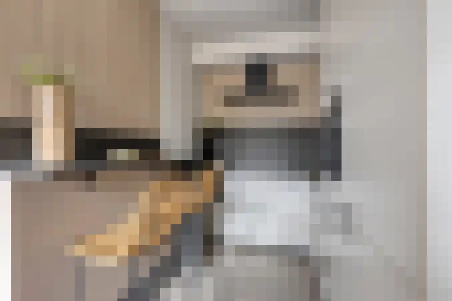 Aerdmennekesbaan 27 Veldhoven thumbnail 17