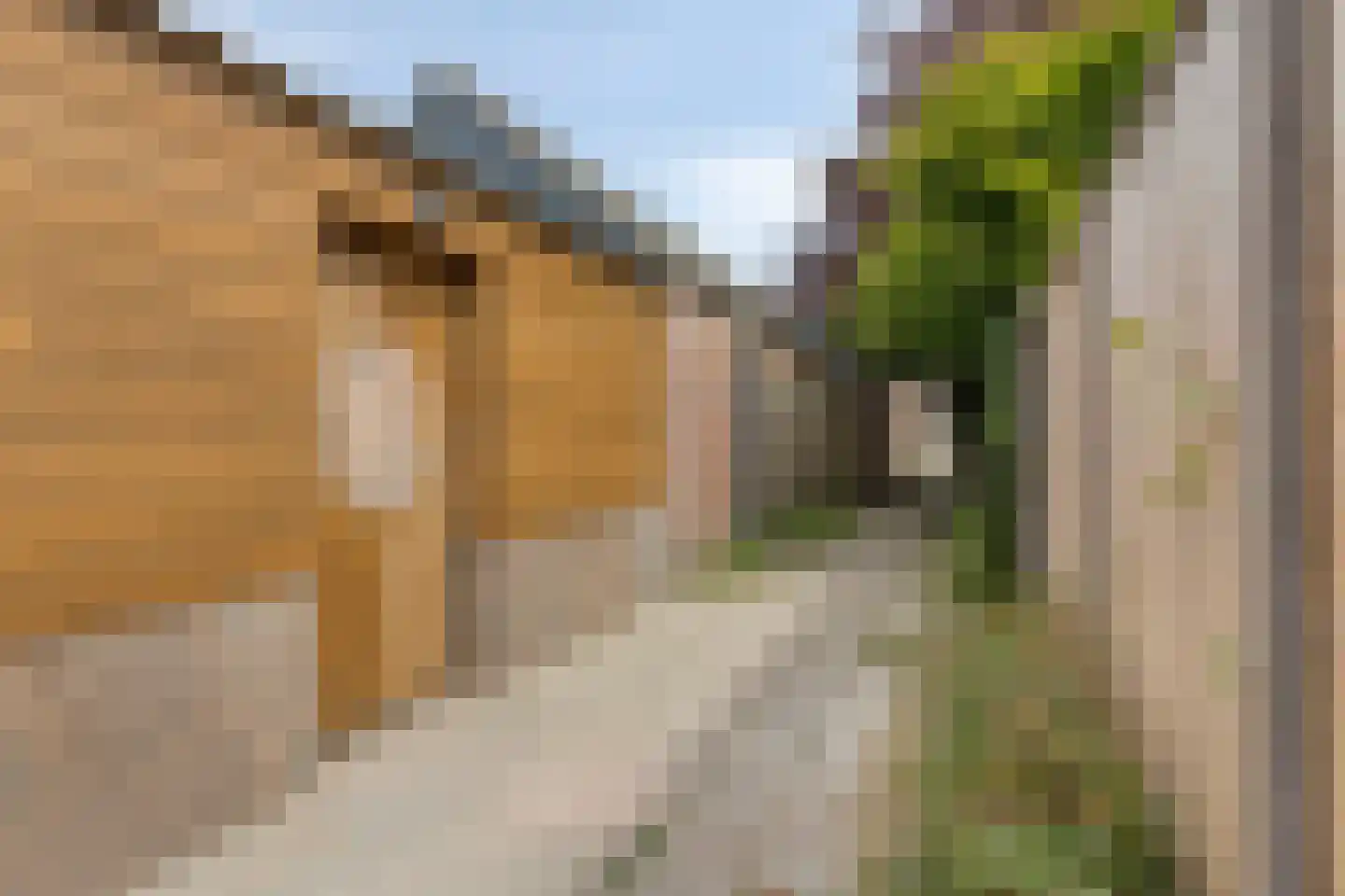 Aerdmennekesbaan 27 Veldhoven thumbnail 38