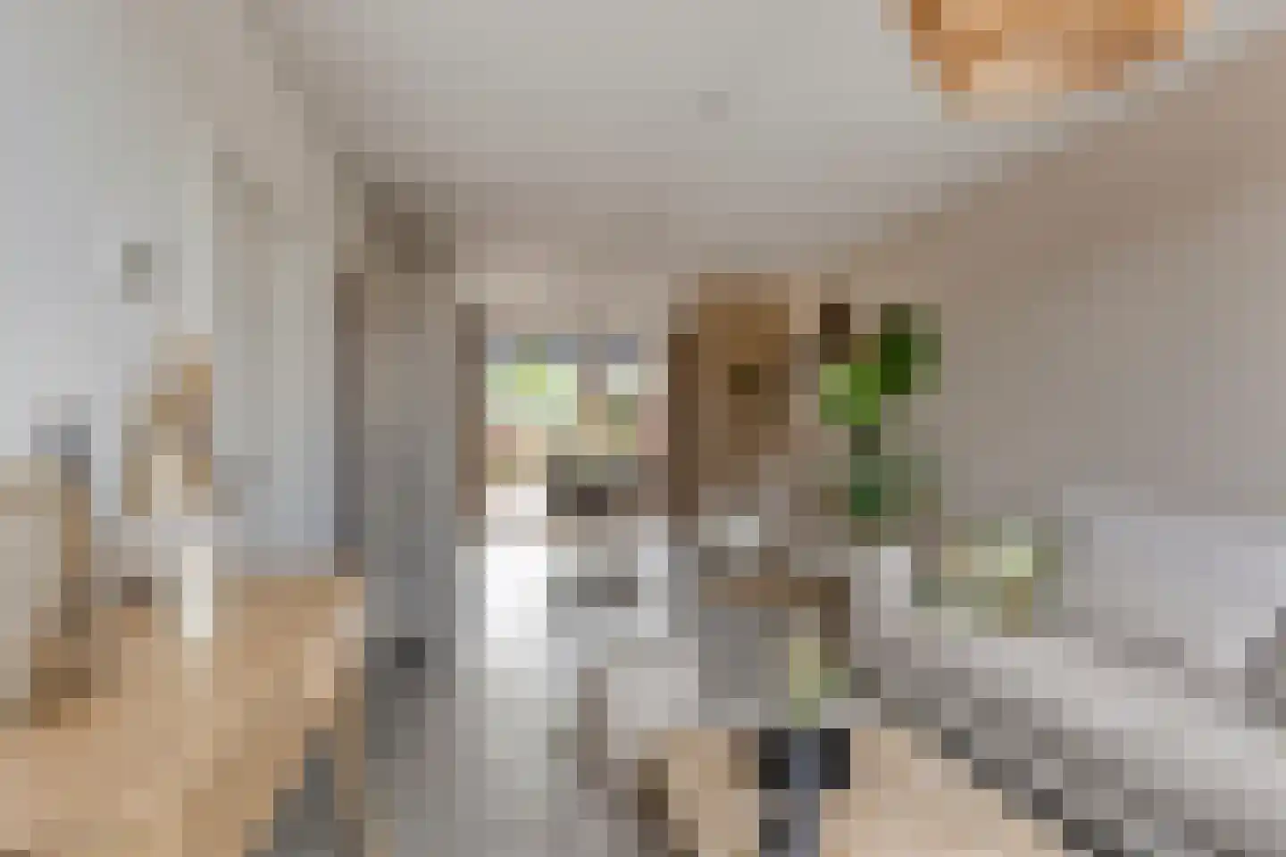 Aerdmennekesbaan 27 Veldhoven thumbnail 6