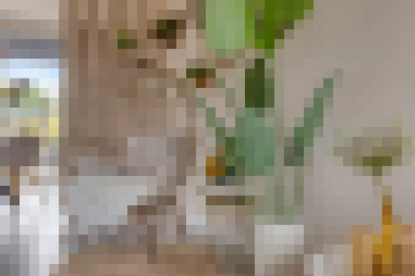 Aerdmennekesbaan 27 Veldhoven thumbnail 9