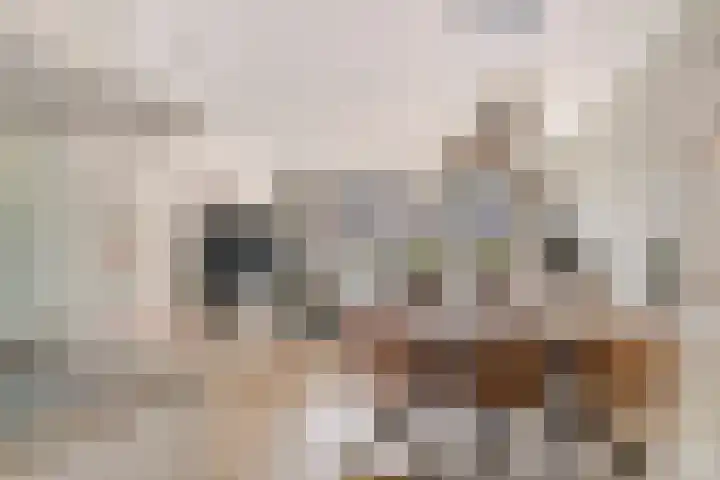 Aerdmennekesbaan 3 Veldhoven thumbnail 11