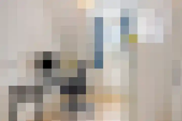 Aerdmennekesbaan 3 Veldhoven thumbnail 19