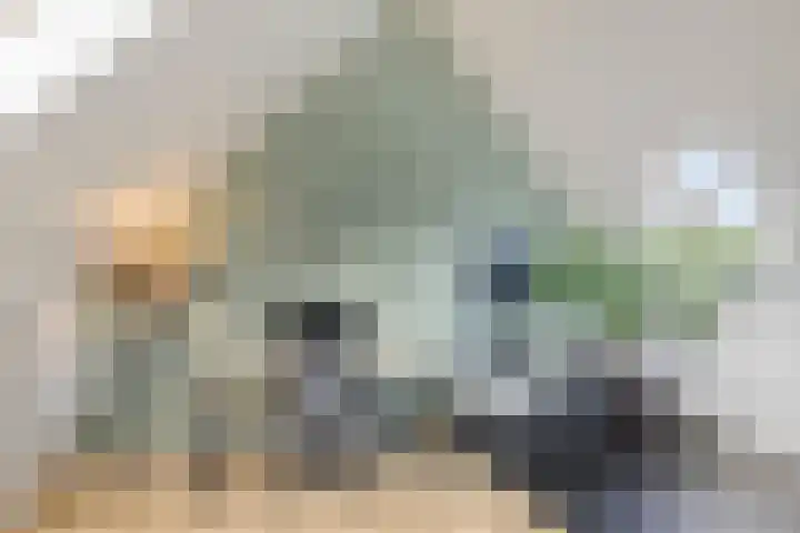 Aerdmennekesbaan 3 Veldhoven thumbnail 23