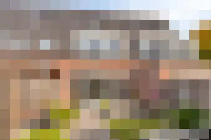 Aerdmennekesbaan 3 Veldhoven thumbnail 25