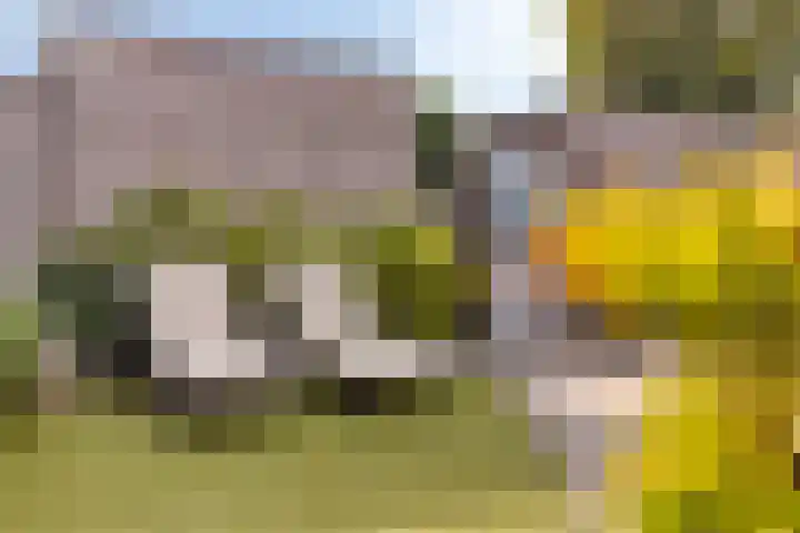 Aerdmennekesbaan 3 Veldhoven thumbnail 27