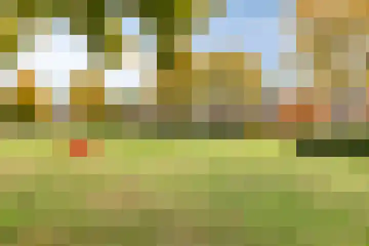 Aerdmennekesbaan 3 Veldhoven thumbnail 30